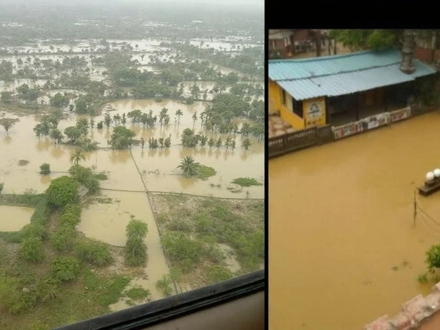 बाड़मेर बारिश: थार की नगरी में सड़कों पर पानी, उमस से राहत और पारा नीचे